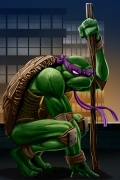 miniatura obrazka z bajki Wojownicze żółwie ninja z wojownikiem Donatello
